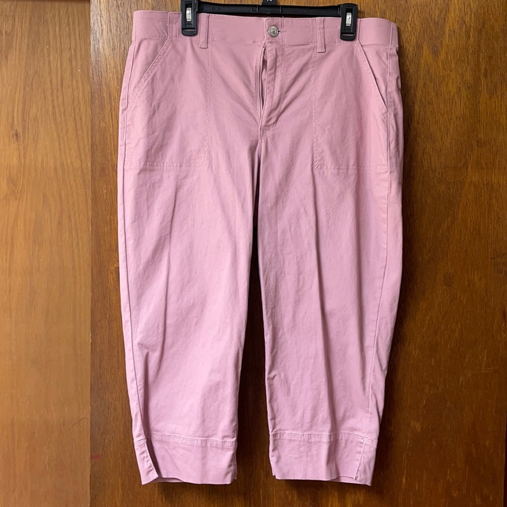 Gloria Vanderbilt capris pants